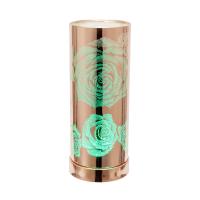 Sense Aroma Colour Changing Rose Gold Rose Electric Wax Melt Warmer Extra Image 1 Preview
